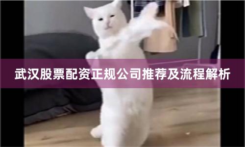 武汉股票配资正规公司推荐及流程解析